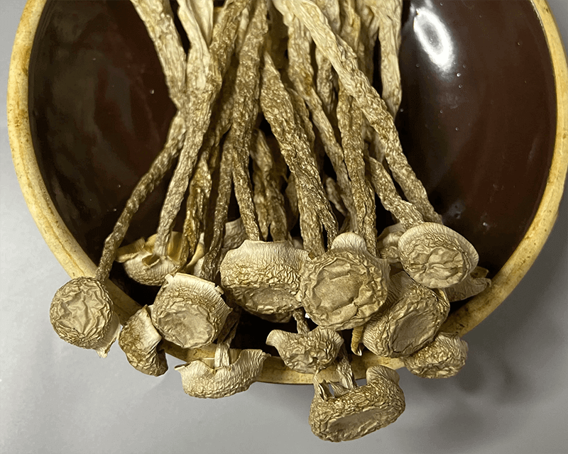 鹿茸